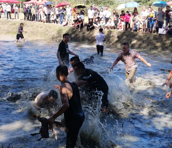 秒懂教程“皇豪大厅牛牛房卡”房卡获取方式