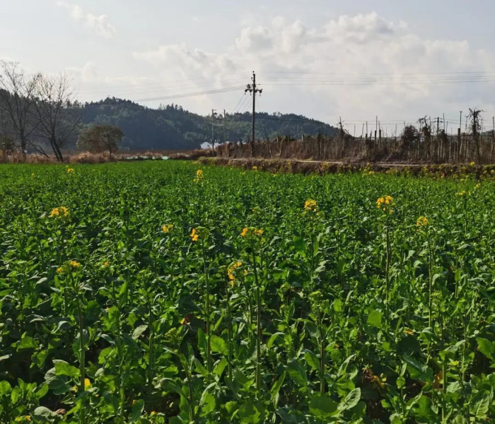 酒泉疫情防控最新通知:酒泉疫情防控最新通知今天