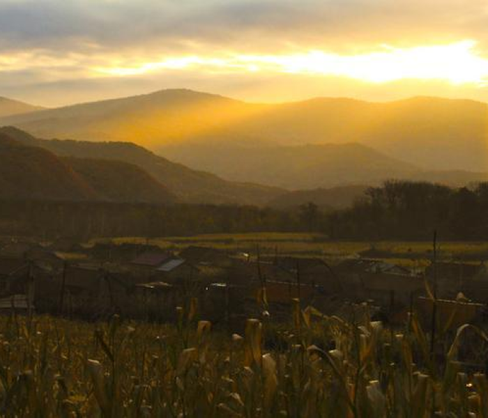 一分钟介绍使用“新道游金花在哪买房卡”详细房卡使用教程 一分钟介绍使用“新道游金花在哪买房卡”详细房卡使用教程