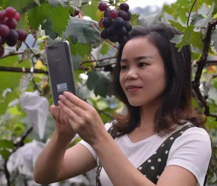 成都到永善多少公里路（成都到永善多少公里路程）