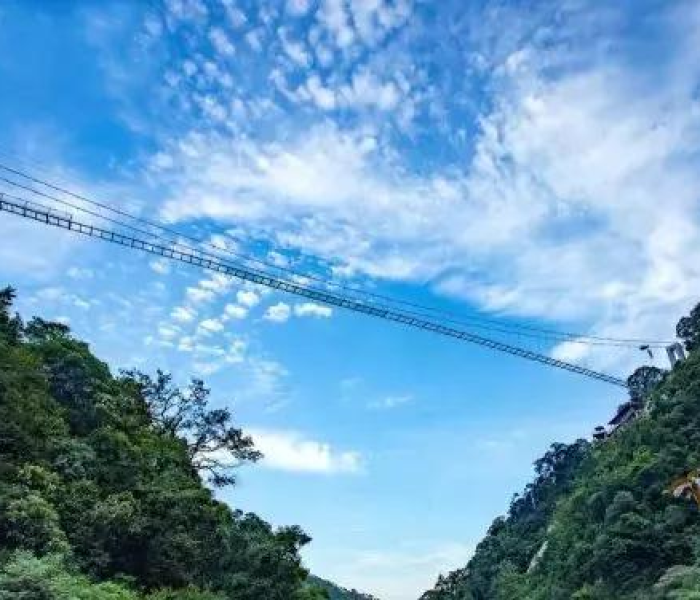 合肥一例阳性/合肥一家5口阳性有人隐瞒行程