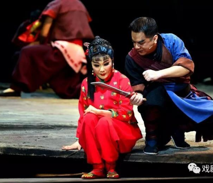 石家庄真实故事（石家庄真实故事改编）