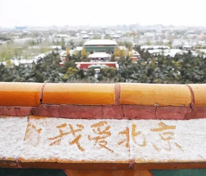 广州疫情最新情况发布会/广州疫情最新情况发布