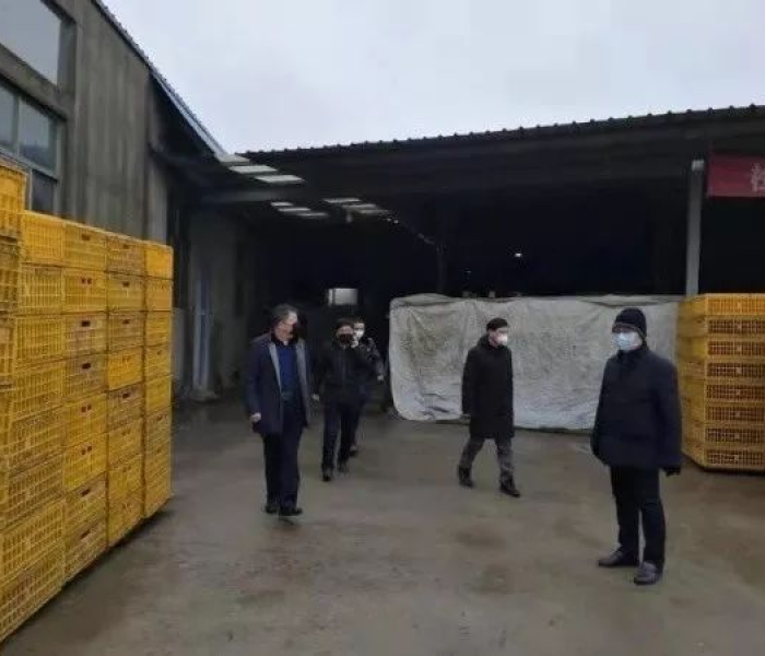 高邮市最新疫情:高邮市最新疫情最新消息