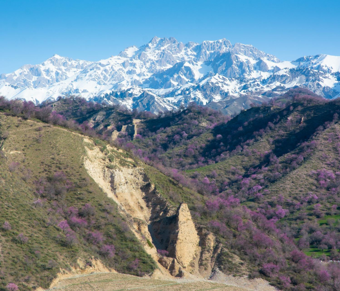 新疆中考成绩什么时间公布2022年/新疆中考成绩什么时间公布2022年级 新疆中考成绩什么时间公布2022年/新疆中考成绩什么时间公布2022年级