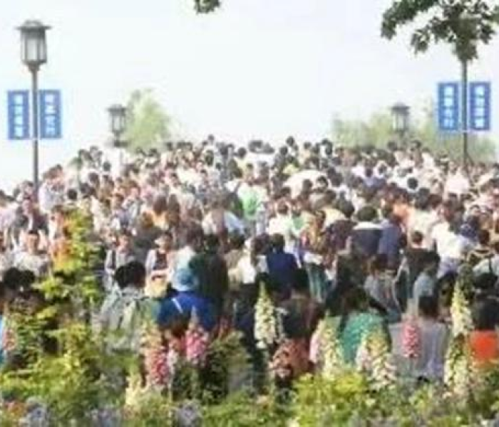 房卡必备教程“微信群牛牛房卡多少钱”房卡获取方式