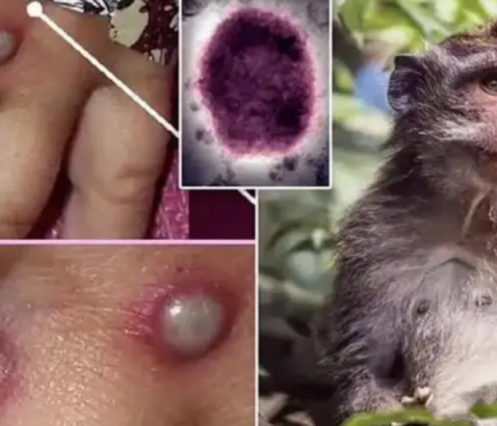 【高考分数线查询往年,高考分数线查询往年山西】