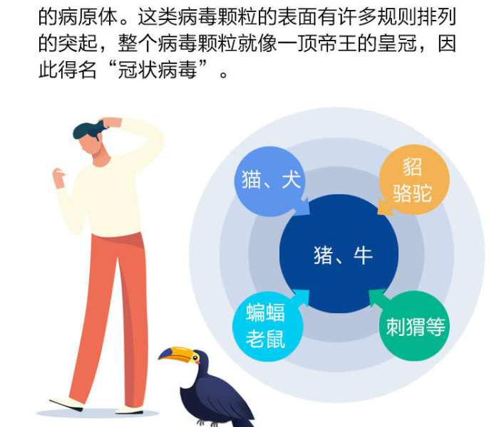 【冠状病毒怎么回事/冠状病毒是怎么回事】
