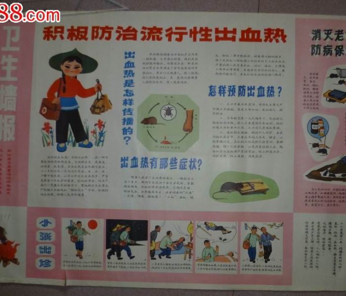 【2021年出血热宣传主题是什么/2020年出血热宣传主题】