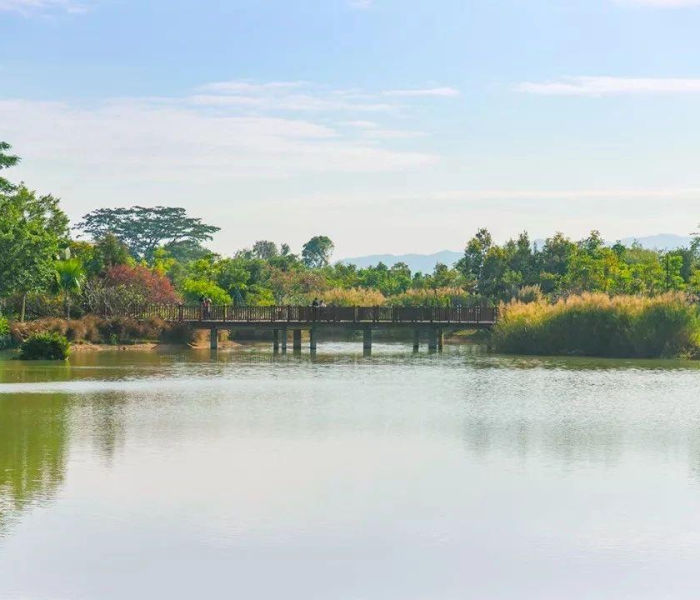 秒懂百科“微信金花链接房卡平台”详细房卡使用教程