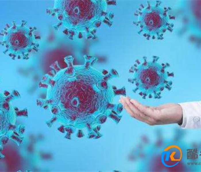 河北新增33例本土确诊病例/河北新增33例本土确诊病例详情