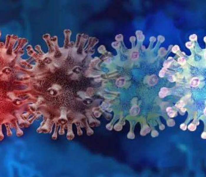 房卡必备教程“微信(新版)圣游链接金花房卡”房卡获取方式