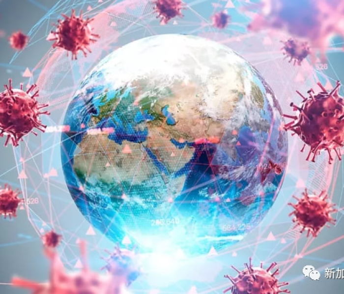 各地返乡隔离政策查询官网:各地返乡隔离政策查询官网最新