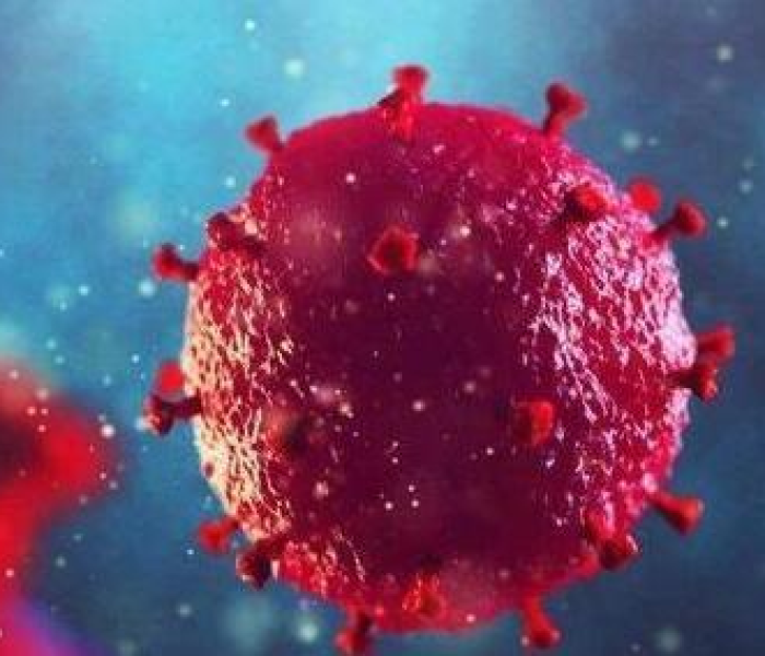 房卡必备教程“牛牛房卡微信链接”房卡详细充值