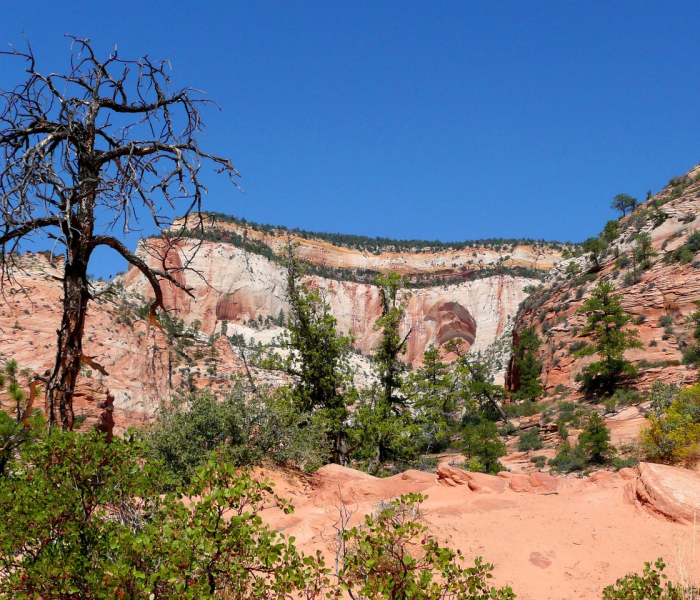 全攻略普及“微信斗牛平台链接房卡”轻松获取房卡全渠道