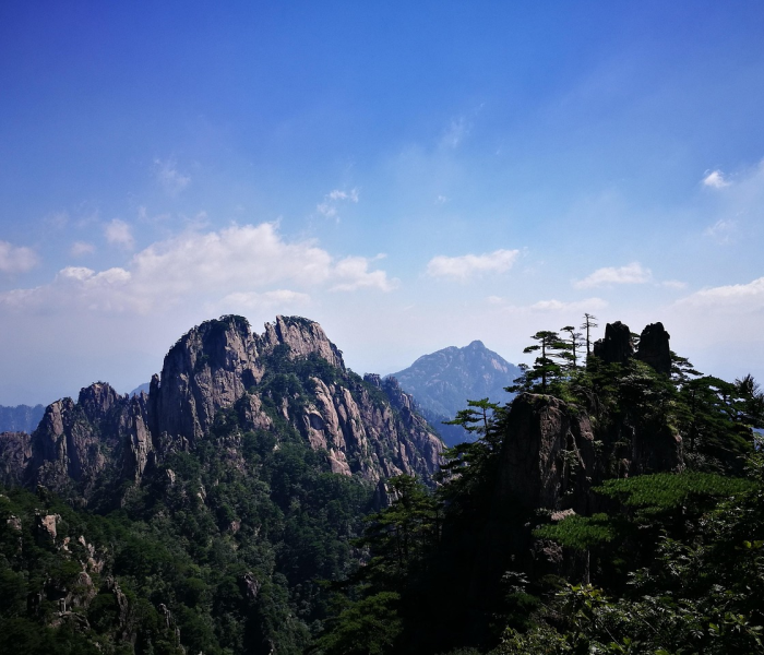 【黄山市新冠肺炎疫情/黄山市新冠肺炎疫情最新消息】