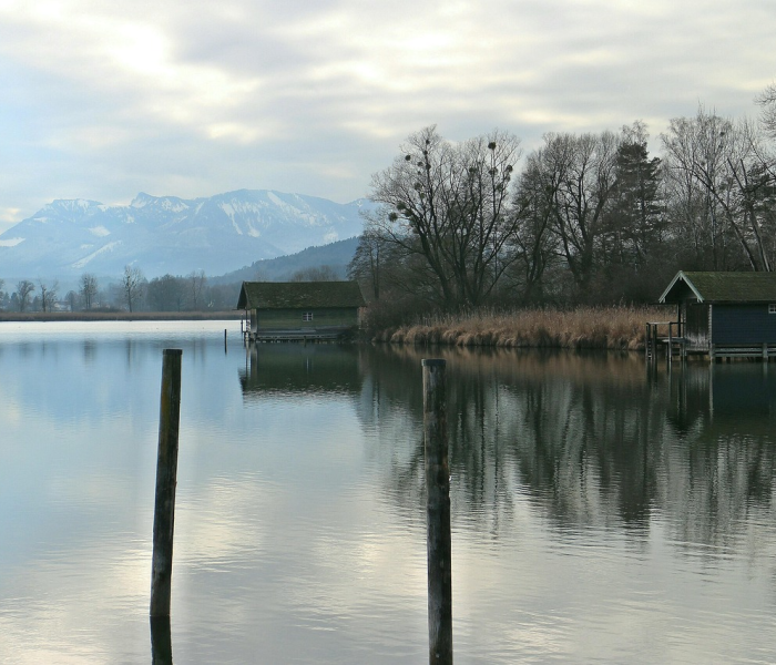 给大家讲解“买房卡的微信炸 金花代理”轻松获取房卡全渠道
