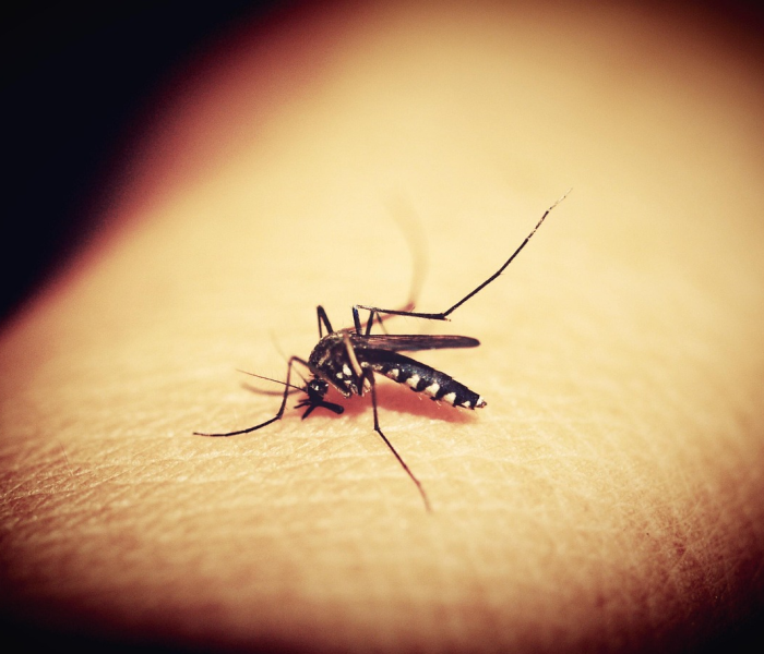 一分钟实测分享“微信炸 金花链接房卡购买”详细房卡使用教程