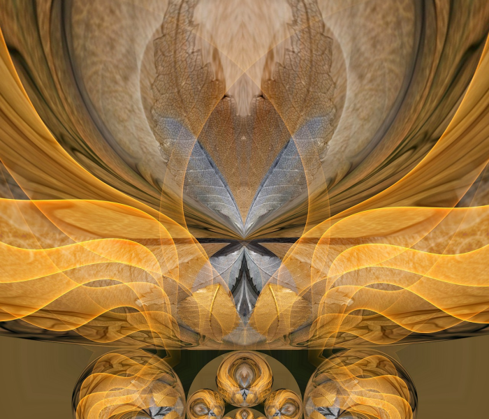 黑龙江新增确诊3例轨迹:黑龙江新增确诊3例轨迹公布