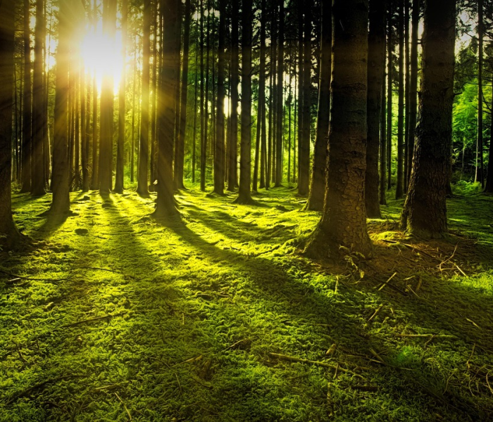 一分钟介绍使用“炸  金花房卡链接怎么买”房卡详细充值