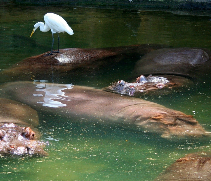 【景芝镇贴吧/景芝镇吧百度贴吧】