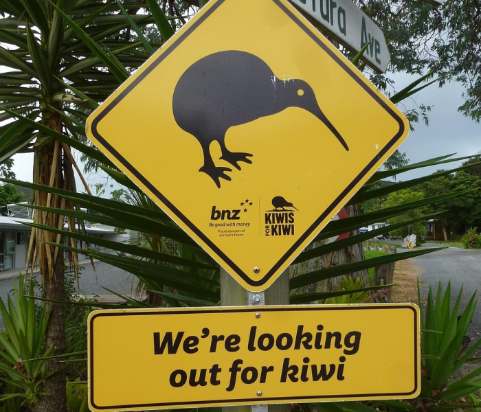 一分钟介绍使用“炫酷大厅金花房卡充值”轻松获取房卡全渠道 一分钟介绍使用“炫酷大厅金花房卡充值”轻松获取房卡全渠道