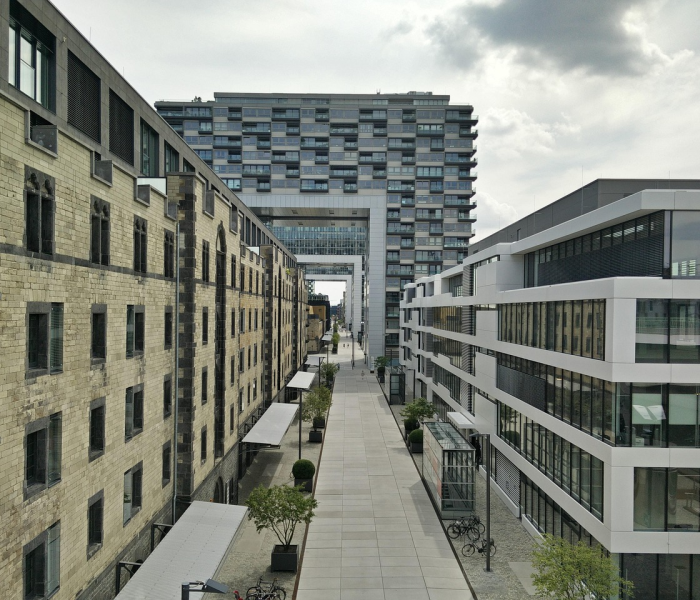 安北网安徽人在北京（安北网安徽人在北京木子菜）