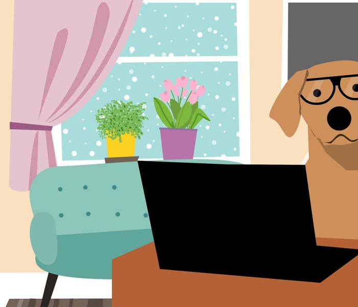 一分钟了解“微信老神兽大厅房卡充值”获取房卡教程-哔哩哔哩 一分钟了解“微信老神兽大厅房卡充值”获取房卡教程-哔哩哔哩