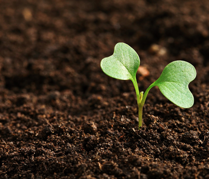 秒懂教程“牛魔王金花牛牛房卡”详细房卡教程