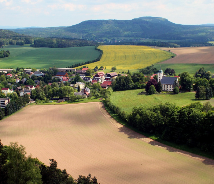 秒懂百科“微信炸 金花如何自建房间”详细房卡使用教程