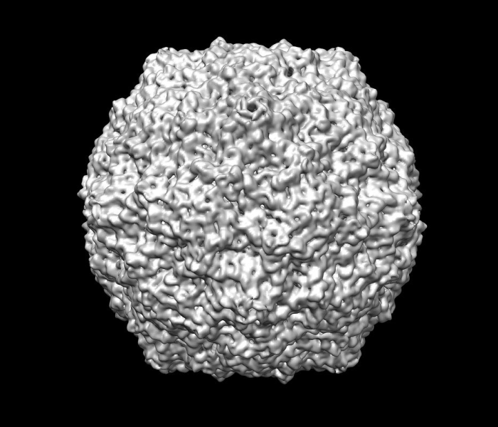 秒懂百科“微信炸 金花在哪里充值卡”详细房卡怎么购买教程