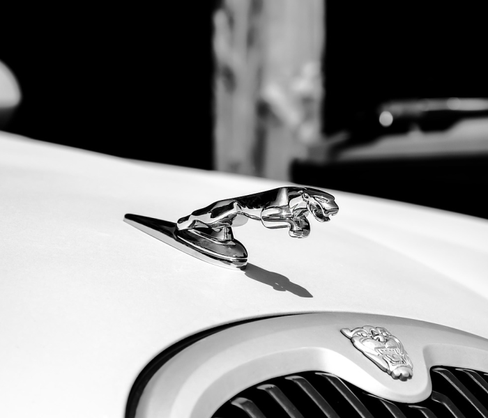 房卡全攻略“炸 金花房卡链接购买”轻松获取房卡全渠道