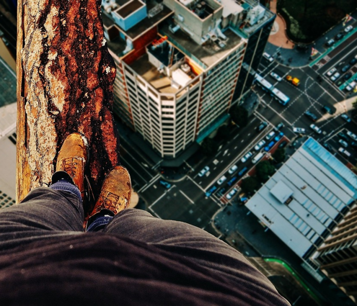 郑州疫情封闭区域地图查询/郑州疫情封闭区域地图查询最新