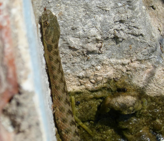 新疆最新疫情分布态势深度解析，各地市防控现状与动态追踪