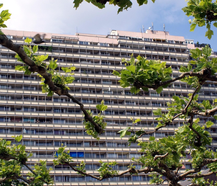 秒懂百科“牛牛房卡链接购买”房卡获取方式