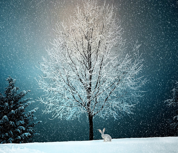 一分钟实测分享“微信炸 金花房卡在哪充值”详细房卡使用教程 一分钟实测分享“微信炸 金花房卡在哪充值”详细房卡使用教程