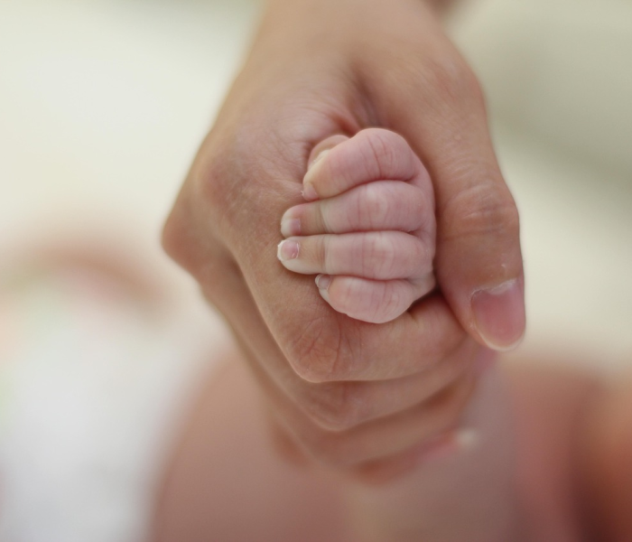 一分钟了解“狂飙大厅牛牛金花房卡”详细房卡使用教程 一分钟了解“狂飙大厅牛牛金花房卡”详细房卡使用教程