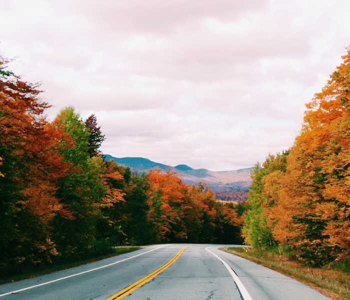 核算酸怎么检测几天出结果的:核算酸怎么检测几天出结果的啊