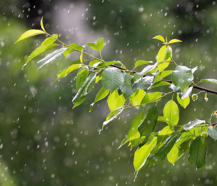 辽宁锦州天气预报/辽宁锦州天气预报一周