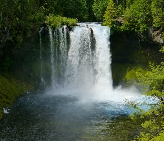 给大家讲解“微信牛牛房卡哪里买”房卡详细充值