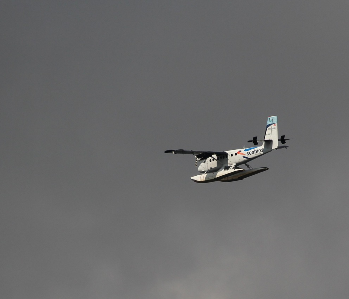 给大家讲解“微信牛牛房卡哪里买”房卡详细充值