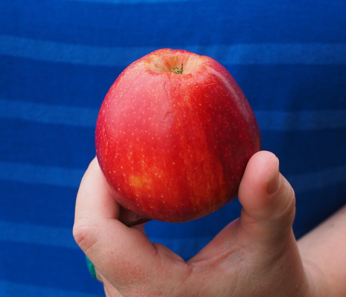 呼市最新疫情动态图/呼市最新疫情动态