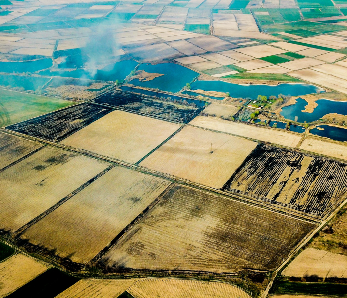 秒懂教程“微信好友创建炸 金花房间”房卡链接获取