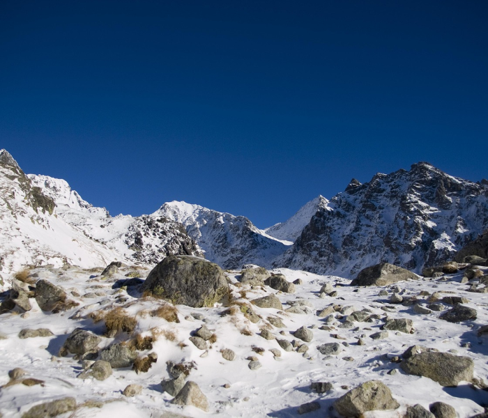 冬奥会跟奥运会区别/冬奥会跟奥运会区别在哪 冬奥会跟奥运会区别/冬奥会跟奥运会区别在哪