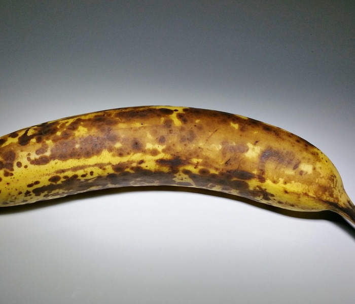 【法国发现极为罕见变异新冠病毒的原因,法国发现极为罕见变异新冠病毒的原因是】 【法国发现极为罕见变异新冠病毒的原因,法国发现极为罕见变异新冠病毒的原因是】