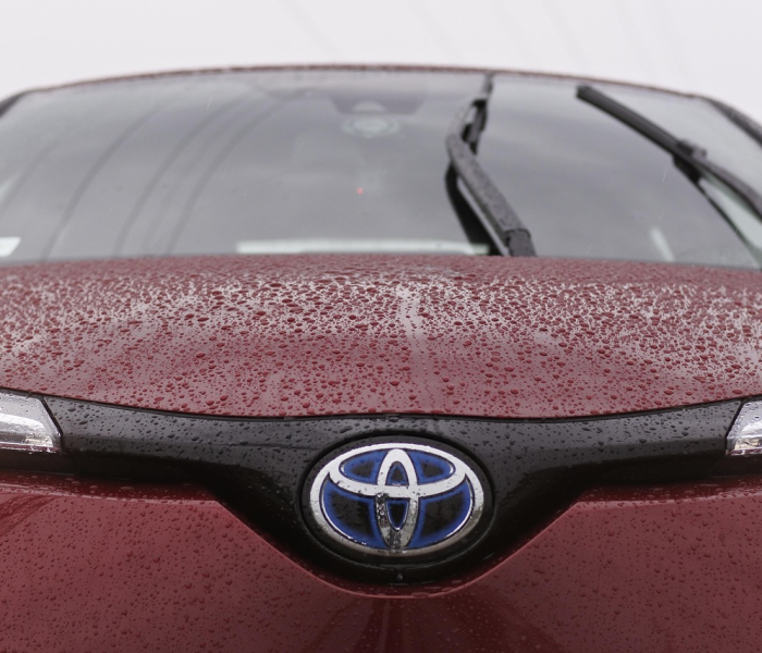 新兴家园东区，城市更新中的宜居典范与社区活力探索