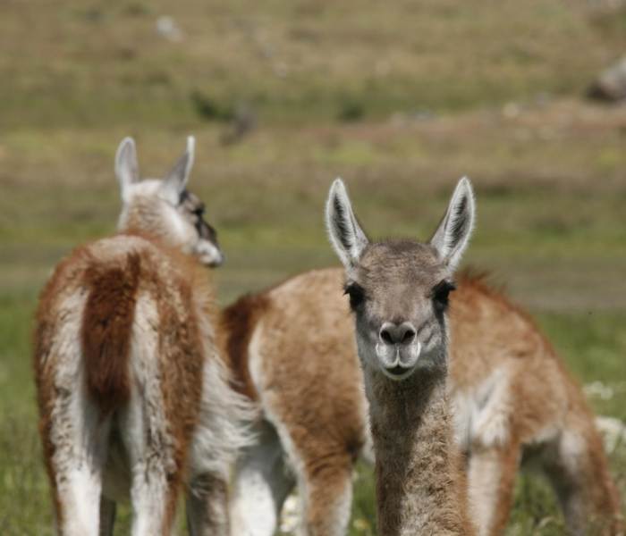 辽中区疫情通报/辽中区疫情通报最新