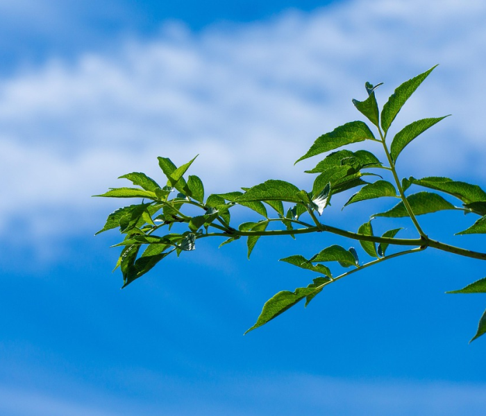 一分钟介绍使用“金华房卡在哪买”获取房卡教程-哔哩哔哩 一分钟介绍使用“金华房卡在哪买”获取房卡教程-哔哩哔哩