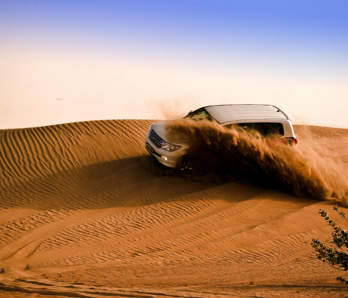 秒懂百科“在哪里买微信炸 金花房卡”房卡获取方式