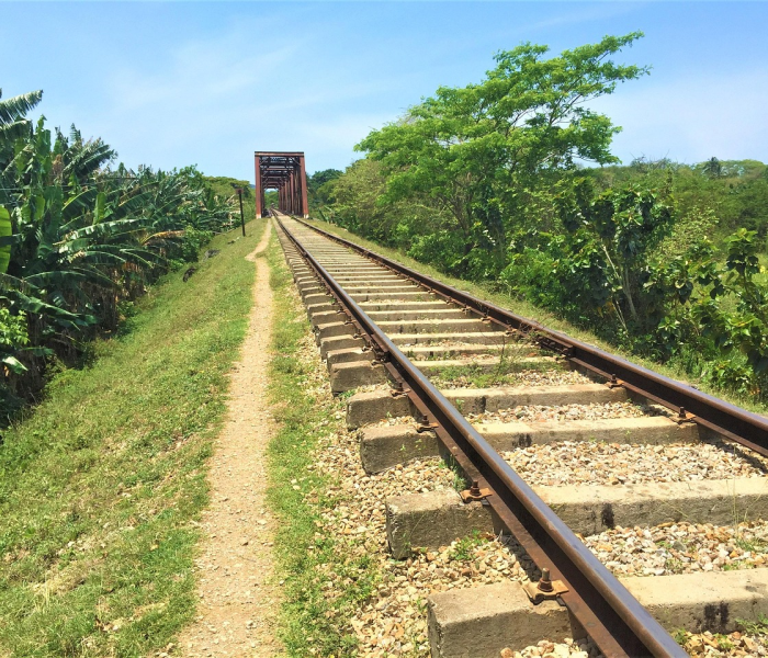 一分钟介绍使用“微信群九酷众娱大厅链接房卡”房卡链接获取 一分钟介绍使用“微信群九酷众娱大厅链接房卡”房卡链接获取